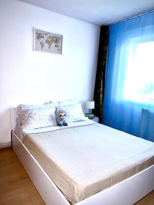 Ap 2 Cam Confortabile - Ab House Iasi Extérieur photo